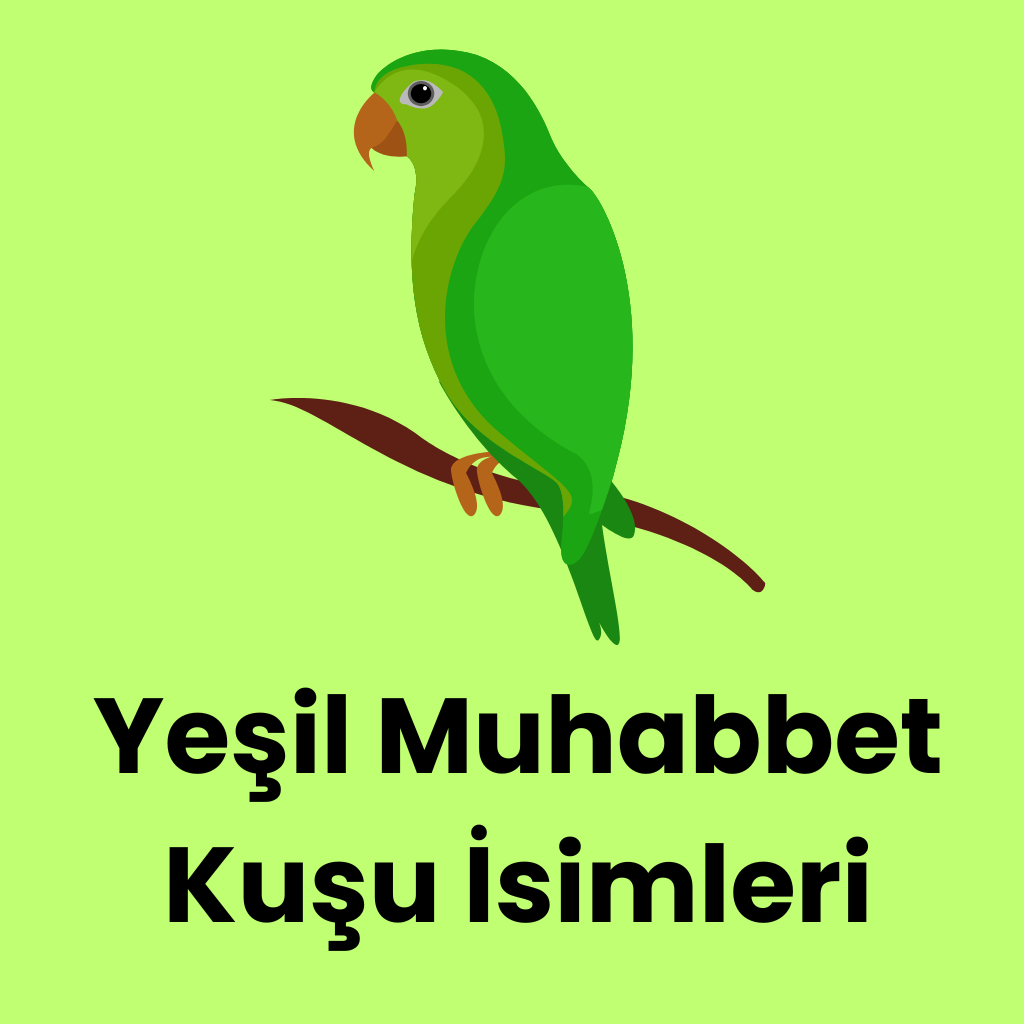 Yeşil Muhabbet Kuşu İsimleri - İlgi Çekici, Komik Benzersiz